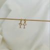 Double Dangling Hoops