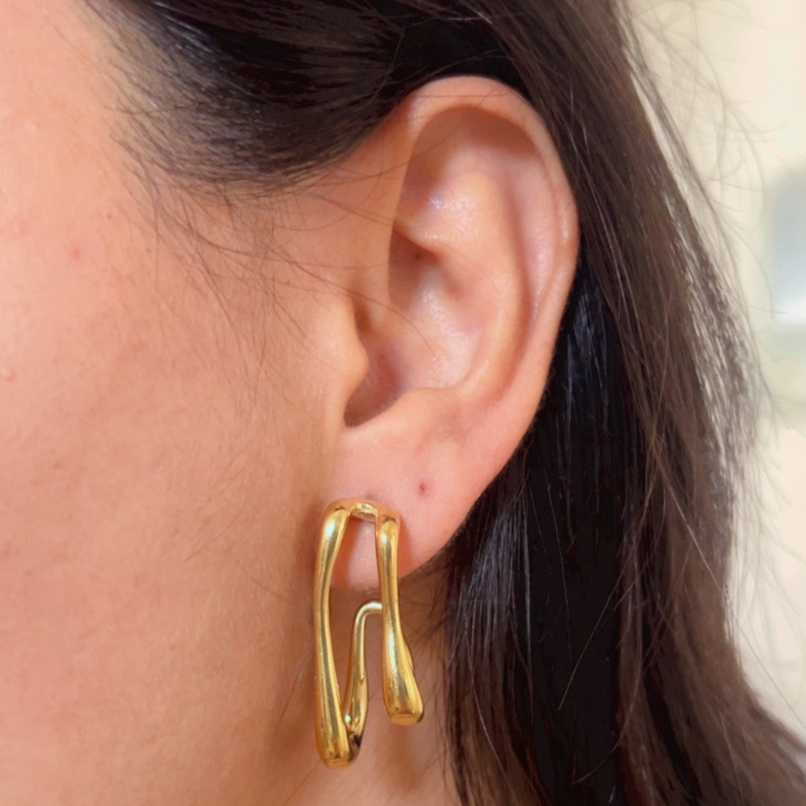 Twin Structure Earings