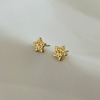Star Earrings